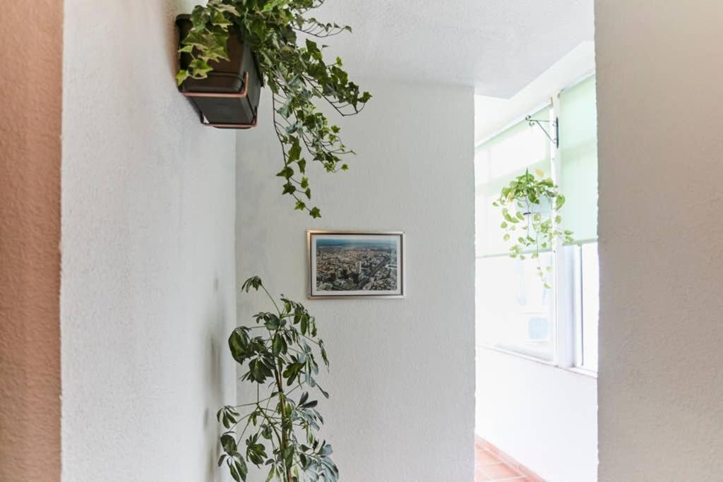 Apartament Original Y Coqueto Apartamento Junto A Plaza Mayor Madryt Zewnętrze zdjęcie